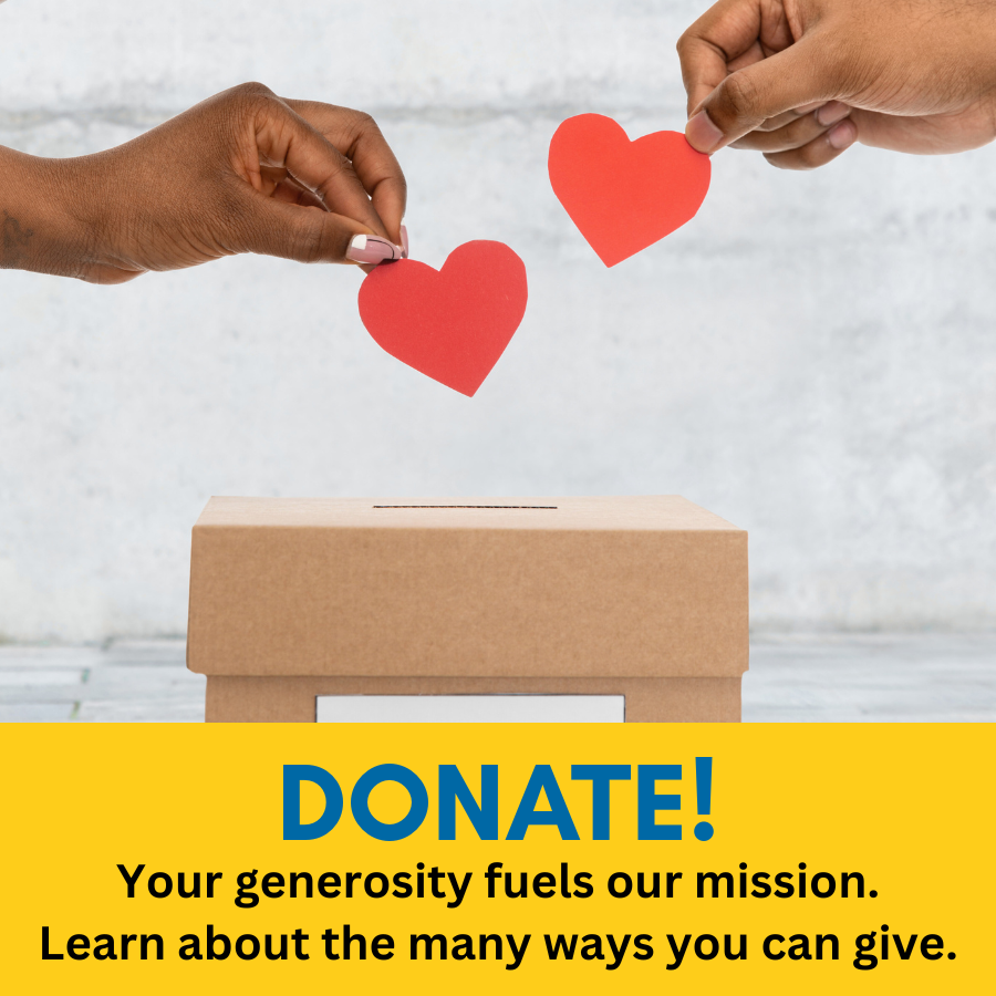 Donate icon for website