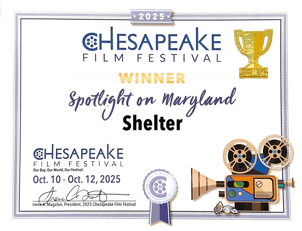 Shelter film award